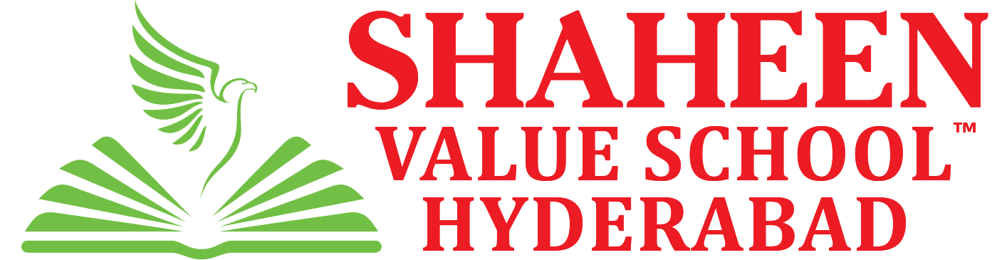 Shaheen Value School Logo